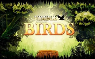 Nimble Birds